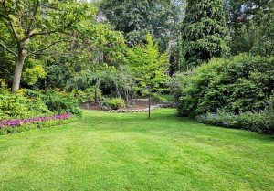 Optimiser l'expérience du jardin à Flaumont-Waudrechies